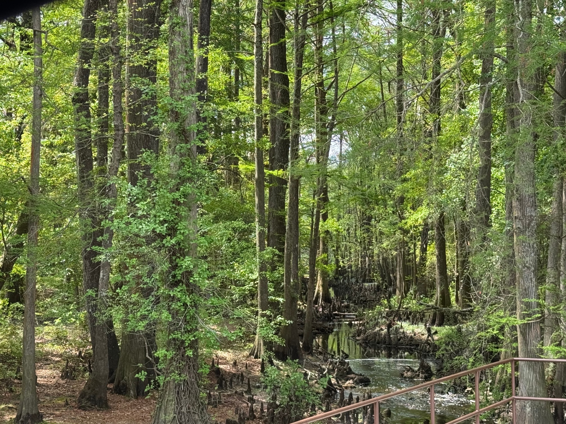 Along the Spillway
