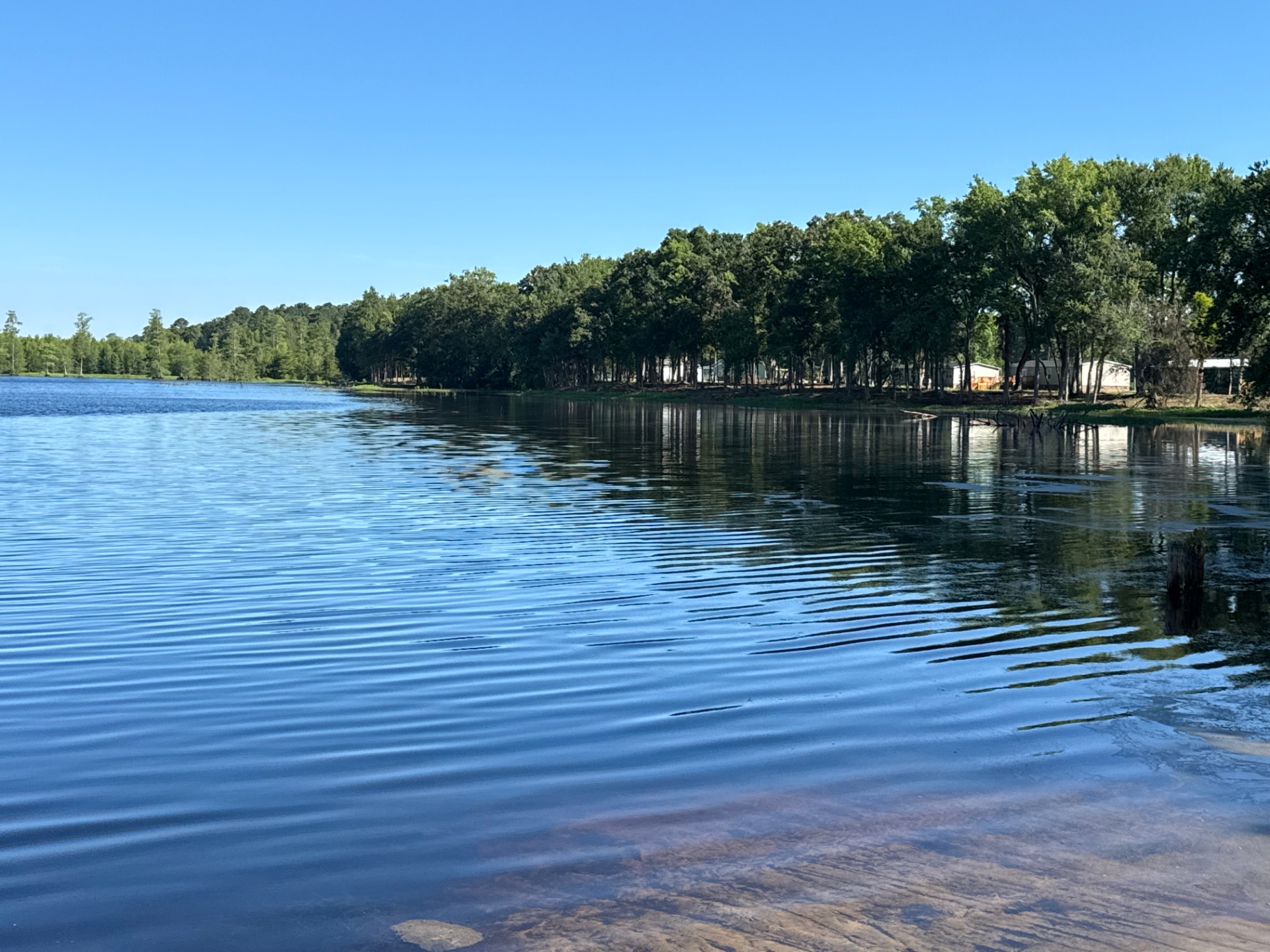 Morning light across the calm water of the Cultural Center lake in Pembroke, North Carolina — the Lumbee homeland at first light.